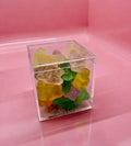 Cube - Island Tropics Bears